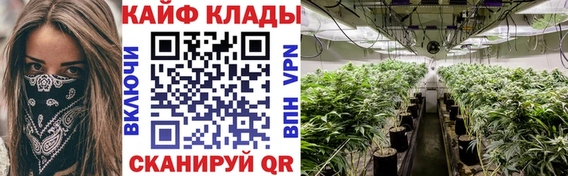 Магазины продажи наркотиков Новоржев Cocaine  Мефедрон  Alpha PVP  Гашиш 
