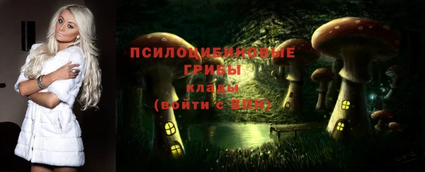 первитин Новодвинск