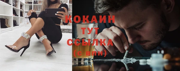 ALPHA PVP Новозыбков