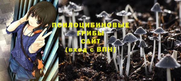 первитин Новодвинск