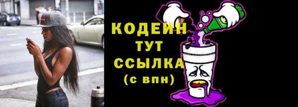 первитин Новодвинск