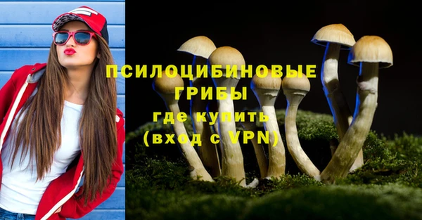 ALPHA PVP Новозыбков