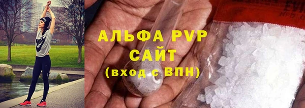 ALPHA PVP Новозыбков