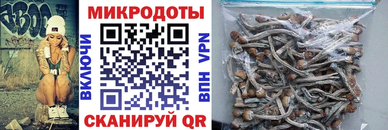 Псилоцибиновые грибы Psilocybe  магазин продажи наркотиков  Новоржев 